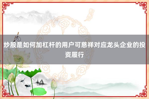 炒股是如何加杠杆的用户可慈祥对应龙头企业的投资履行