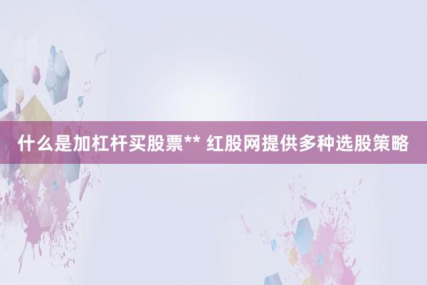 什么是加杠杆买股票** 红股网提供多种选股策略
