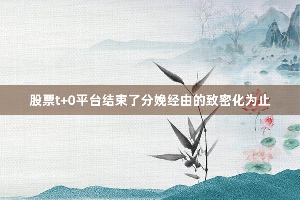 股票t+0平台结束了分娩经由的致密化为止