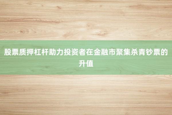 股票质押杠杆助力投资者在金融市聚集杀青钞票的升值