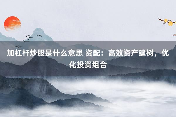 加杠杆炒股是什么意思 资配:高效资产建树,优化投资组合
